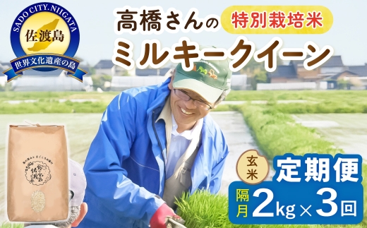 【定期便 令和8年産新米 全3回】 佐渡島産ミルキークイーン 玄米 2kg 令和8年産新米 特別栽培米 高橋農園 | 新潟県産ミルキークイーン 佐渡産ミルキークイーン ミルキークイーン お米 米 玄米 げんまい おこめ コメ 2キロ にいがた さど 新潟県 佐渡市
