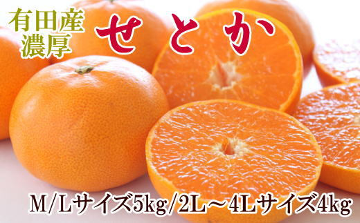 一度は食べていただきたい「有田産のせとか」約4～5kg（サイズおまかせ）※2026年2月中旬～2026年3月上旬頃に順次発送【tecj1031】