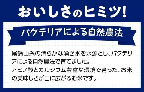 【6ヶ月定期便】【令和6年産】宮崎県産こしひかり 「シタギリ米」 5kg×2【 お米 新米 2024年産 定期便 全6回 】[D04202t6]