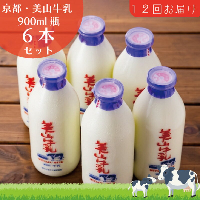 【ふるさと納税】牛乳 定期便 12ヶ月 京都 美山牛乳 瓶 900ml ×6本 セット 美山町 お取り寄せ 定期 お楽しみ 12回 ※北海道・沖縄・離島への発送不可　定期便・ 南丹市