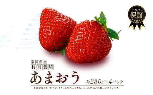 【2026年2月発送】福岡県産 あまおう 約280g×4P 約1.12kg 以上 冷蔵 小分け いちご 1kg以上 苺 イチゴ フルーツ 果物 スイーツ くだもの 冬 春 旬 福岡 九州 福岡県 川崎町 数量限定 期間限定 エコファーマー 特別栽培