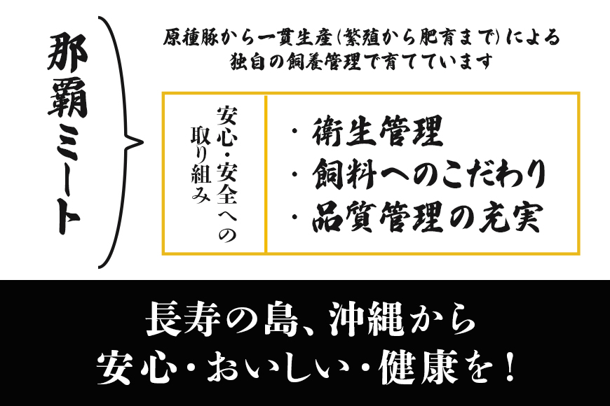 「美ら島あぐ～Ⓡ」美ら島あぐー豚生ハンバーグ　16個（4個入×4P）