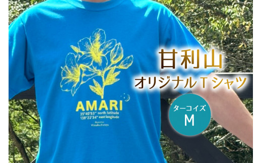 トップス 甘利山 オリジナル Tシャツ （ ターコイズ ） Mサイズ  [甘利山グリーンロッジ 山梨県 韮崎市 20744968] 半袖 レディース メンズ おしゃれ カジュアル アウトドア モンベル 登山