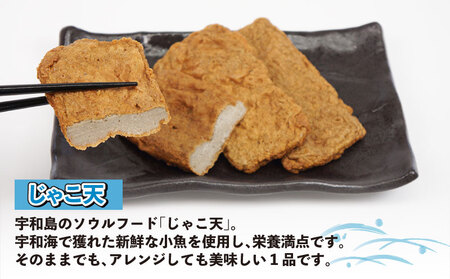 ＼10営業日以内発送／ 訳あり 練り物 セット 亀井蒲鉾 18 ~ 20枚 じゃこ天 フワっ天 ミニじゃこ天 胡椒入り ガーリックバジル おまかせ 練物 訳アリ わけあり 天ぷら てんぷら かまぼこ 