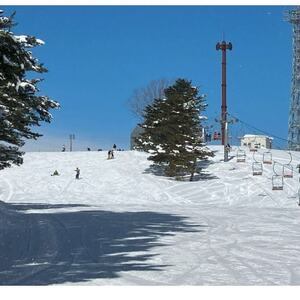 子供　リフト券ナイター券(引換券)【1597748】