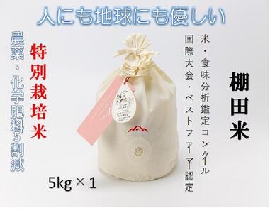 【2025年産新米】魚沼産コシヒカリ 苗場プリンセス 特別栽培米 農薬化学肥料5割減 精米（5kg）×1（コットン袋入り）