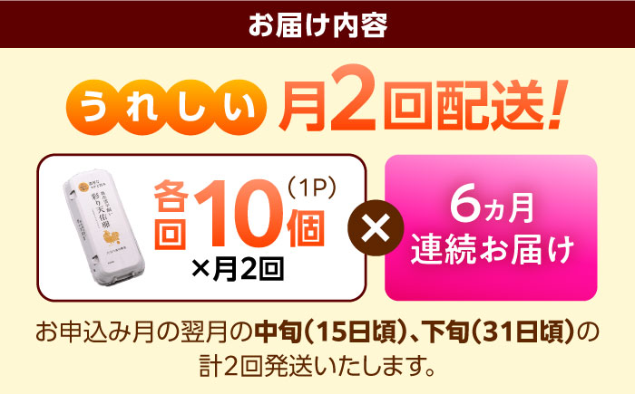 《月2回 × 10個 6ヶ月コース》 たたらの里平飼い 彩り天佑卵 全12回定期便 島根県雲南市/株式会社たなべたたらの里（たなべ森の鶏舎）｜たまご 卵 放牧卵 平飼い卵 新鮮 国産 定期便 [AID