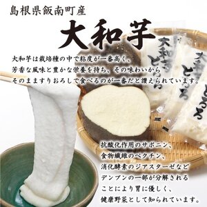 奥出雲そば一福 八割生そば大和芋セット（10人前）【蕎麦 ソバ とろろ だし付き 贈答用 ギフト 年越し】