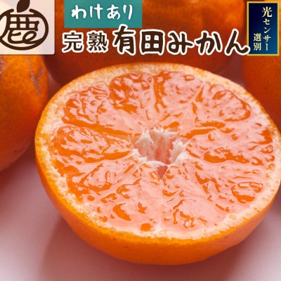 家庭用 完熟有田みかん1kg+250g(傷み補償分)【光センサー選果】【訳あり】【配送不可地域：離島・北海道・沖縄】【1664228】