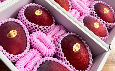 フルーツ 【優秀賞受賞】沖縄県産 完熟 マンゴー 贈答用 1kg (2〜3玉) BCAN001 