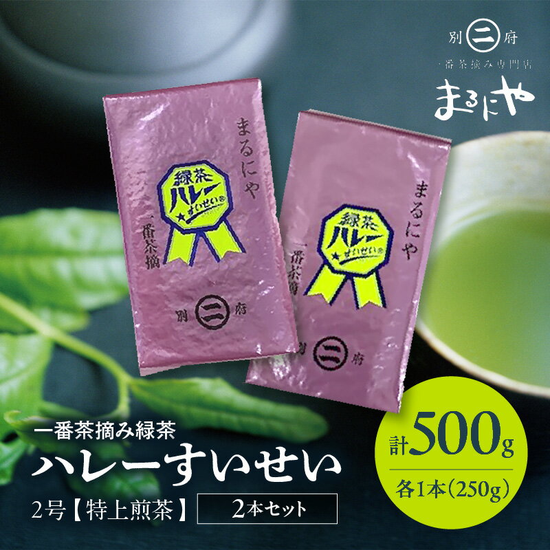 【ふるさと納税】一番茶 摘み 緑茶 ハレーすいせい2号 特上煎茶 250g 2袋 お茶 飲料 飲み物 グリーンティー グリーン茶 ティータイム お返し 深蒸し茶 オリジナルブレンド 高品質 九州産 国産 別府市 大分県 送料無料