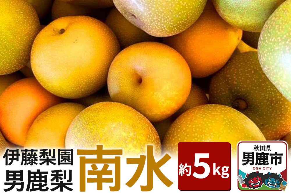 【先行受付】男鹿梨 「伊藤梨園」の南水 梨 約5kg 秋田県 男鹿市 旬の果物 2025年10月中旬以降出荷