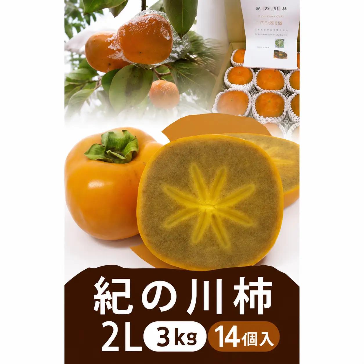 柿 黒の奇跡☆九度山の紀の川柿 2Lサイズ14個入 約3kg【2026年10月上旬～2026年10月下旬頃順次発送予定】【A-frks184】 