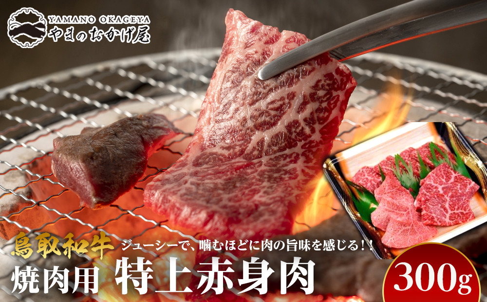 56.鳥取和牛　焼肉用特上赤身肉　300g 313726_AJ074