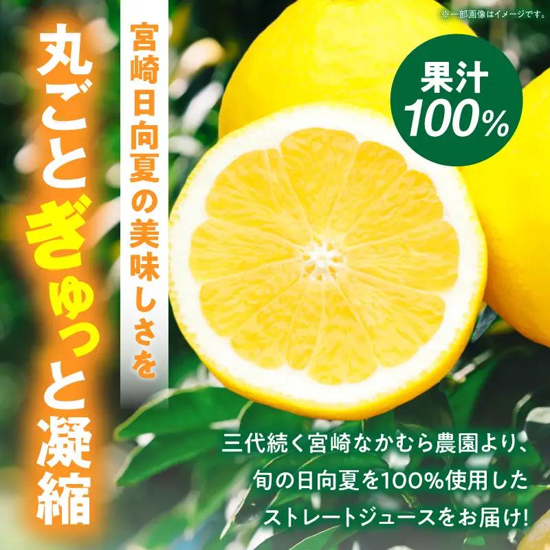 日向夏ストレートジュース100％(500ml×3本セット) 日向夏 ジュース 柑橘