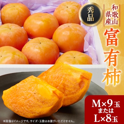 【先行予約】匠果樹園 富有柿【秀品】白紫箱 MまたはLサイズ【2026年11月～12月発送】