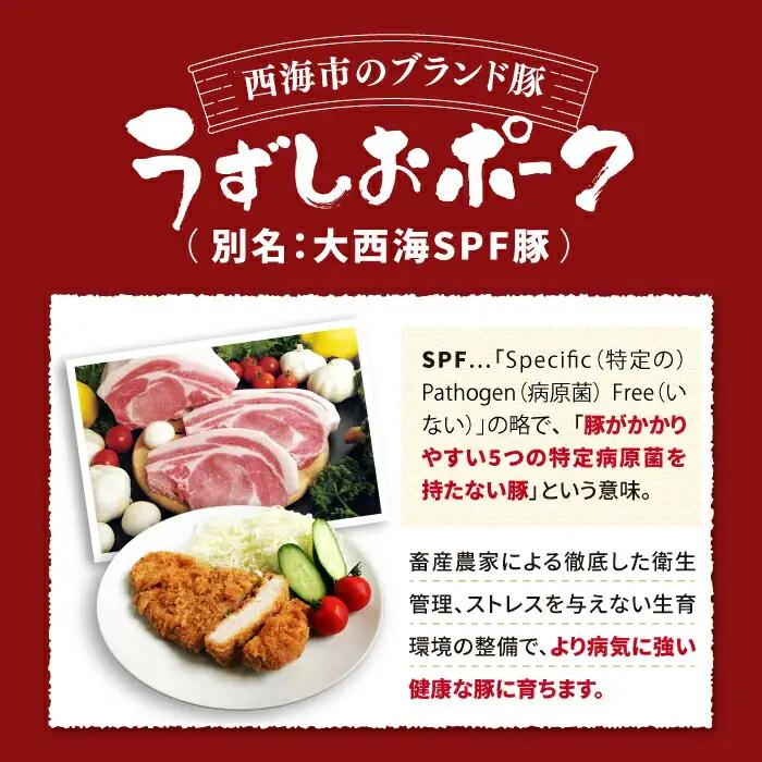 長崎うずしおポーク ロース 1kg 訳あり CAG001 ロース