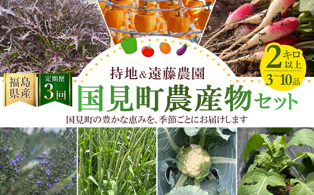 
                  【定期便3回】国見町農産物セット 全3回 | 定期便 米 お米 野菜 あんぽ柿 新鮮 料理 旬 季節 季節の野菜 詰め合わせ セット 持地＆遠藤農園 ※2026年7月～発送
                