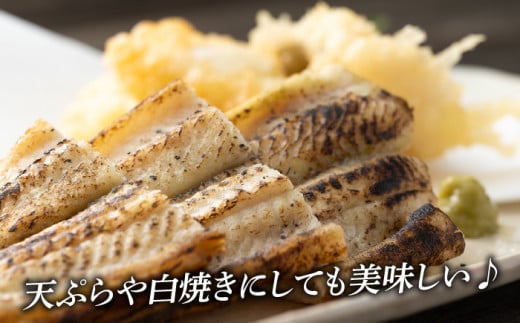 対馬 穴子 開き 800g《対馬市》【海風商事】アナゴ 国産 九州 長崎 [WAD012]冷凍 新鮮 あなご 天ぷら もう1品 おかず 肉厚 穴子重 開き 海鮮 魚介 簡単調理 時短 
