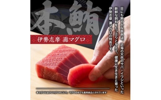 （冷凍） 本まぐろ 赤身 中トロ 大トロ 計250g 詰合せ３～４人前 伊勢志摩まぐろ食堂 ／ 本鮪 本マグロ 三重県 南伊勢町 1万7千円 17000円 一万七千円 2万円 以下