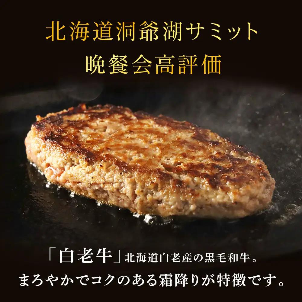 牛の里ビーフハンバーグ（110g×6個）特製ソース（6袋）の詰合せ AG106