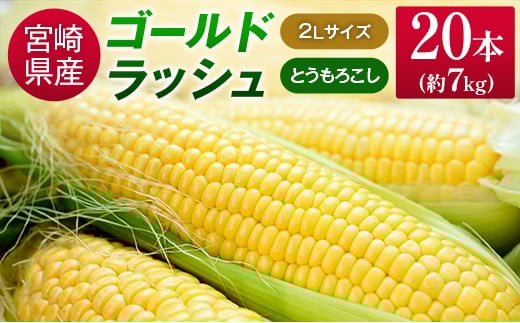 
            宮崎県産 朝採れ ゴールドラッシュ 約7kg（2Lサイズ×20本） ※2026年5月中旬発送開始 とうもろこし 旬 野菜【B426-26】
          