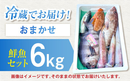 【五島列島・直送】朝獲れ！高級鮮魚セット6kg  / 冷蔵 おまかせ おたのしみ 刺身 五島市 / 鯛福丸水産 [PDP004]
