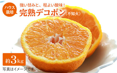 先行予約 ハウス木成 デコポン 不知火 3kg 糖度13〜15度 ＜原口果樹園＞ CCW005 デコポン みかん