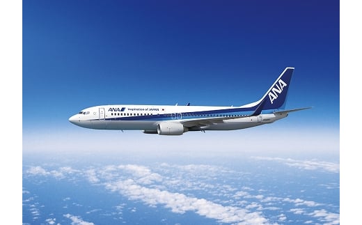 N-63004 ANAで行く！根室満喫プラン＜冬旅＞東京－中標津往復航空券ホテル1泊付き【50,000円分助成】