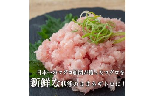 まぐろ 食べ比べ (赤身 ネギトロ) 小分け 真空パック 冷凍 マグロ 鮪 マグロのたたき TY030