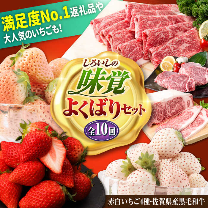 【ふるさと納税】【R8年1月以降発送】【全10回定期便】しろいしの味覚よくばりセット（赤白いちご4種と佐賀県産黒毛和牛）/ いちご苺 果物 フルーツ 黒毛和牛 切り落とし 牛 牛肉 すきやき すき焼き しゃぶしゃぶ 佐賀県 白石町 [IZZ024]