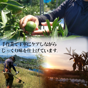 【甘平】【2027年2月上旬頃から順次発送】甘平(かんぺい) 家庭用 約2.5 kg 愛媛県松山市【RNK012】