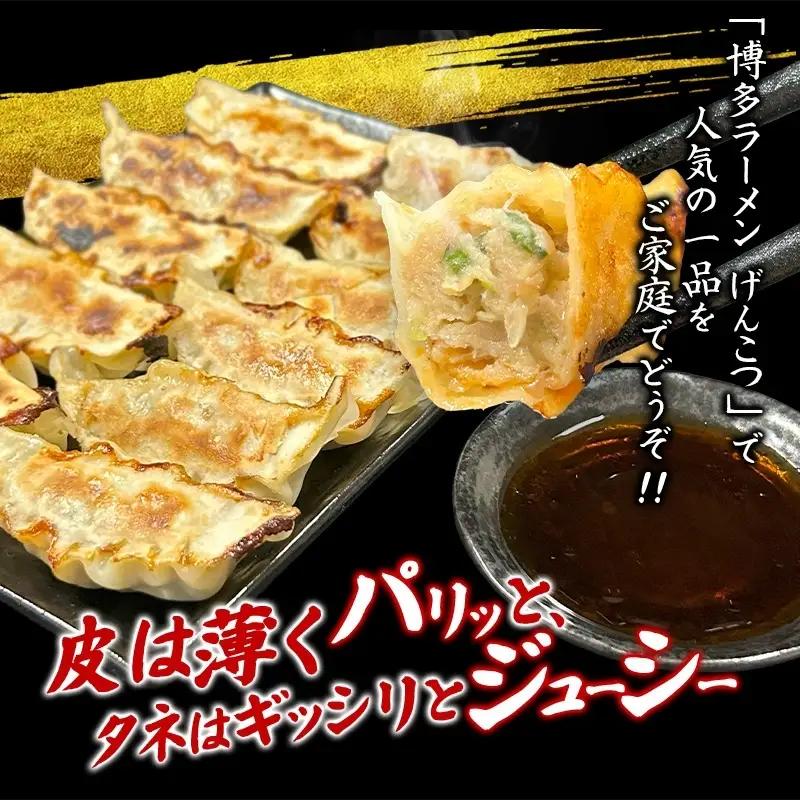 餃子 黒豚餃子 48個【gnkt0001】