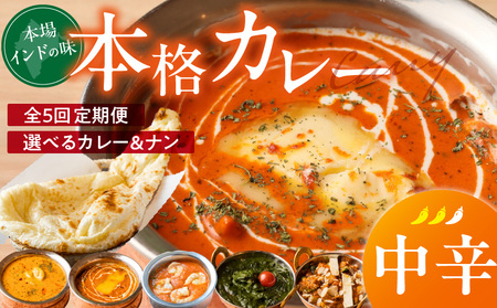【中辛】【定期便5回】ビスヌ 本格カレー　シェフのおすすめ定期便（毎月お届け）_定期便 5回 ビスヌ 本格 カレー チキン バターチキン 海老 豆 野菜 ほうれん草チキン ナン プレーン チーズ ガーリック パンプキンチーズ ほうれん草 中辛 できたて 真空パック 冷凍 福岡県 久留米市 送料無料_Tk039-02