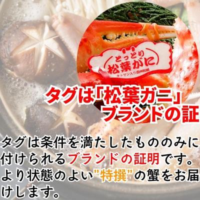 ふるさと納税 八頭町 【ボイル】特撰 松葉がに(タグ付き)900g超の大きいサイズ　特大1杯 |  | 02