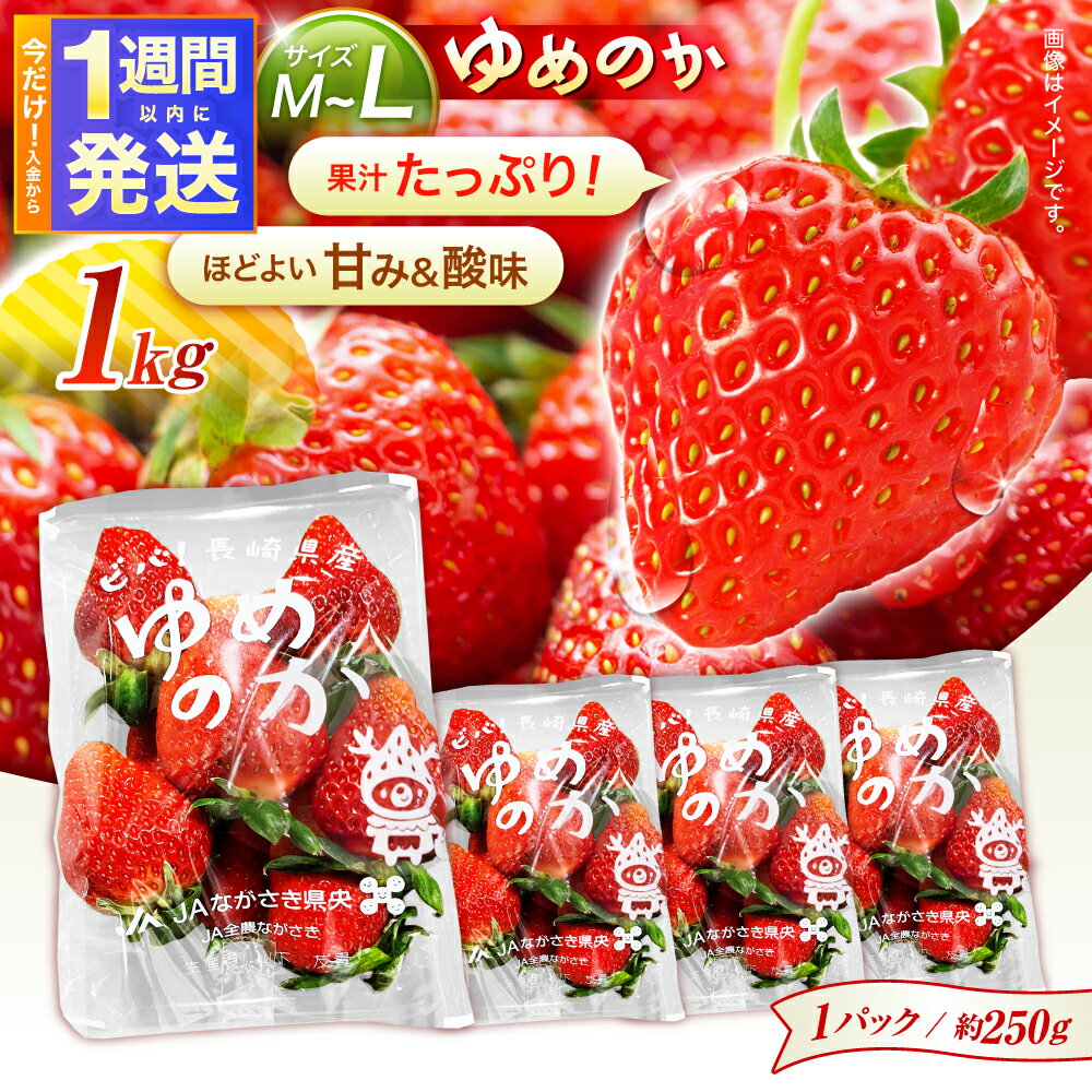 【ふるさと納税】【1週間以内発送/限定数量】【家庭用に最適】長崎いちご「ゆめのか」M〜Lサイズ 約250g×4パック 合計1000g /苺 イチゴ フルーツ デザート ジューシー 食卓 おやつ 1kg 4P/諫早市/長崎県央共同組合Aコープ[AHAA034]