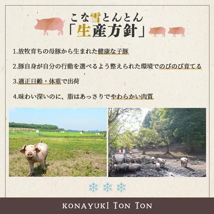 こな雪とんとん　えこりん村ポークカレー　200g×3箱【19006501】