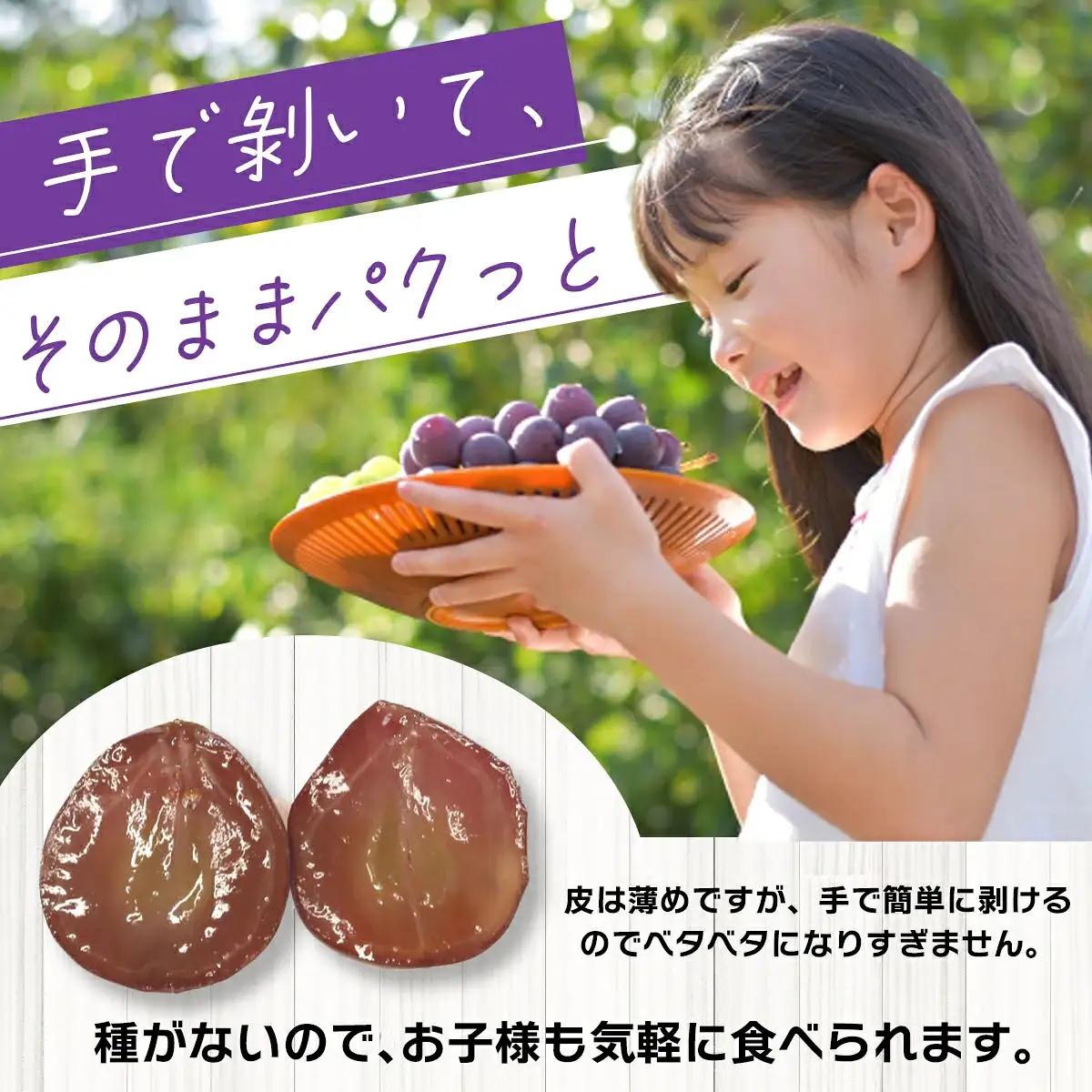 ピオーネ 訳あり 約1kg 岡山産ニューピオーネ 【hana033-02】
