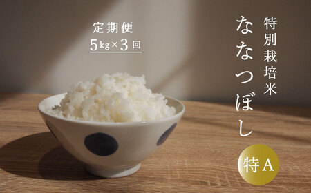 【令和6年産新米先行予約】【定期便】特別栽培米ななつぼし 5kg×3回 北海道当麻町 舟山農産 減農薬 低農薬【AB-030】