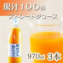 【ふるさと納税】果汁100% 田村そだちみかんジュース 970ml×3本 | 和歌山県 和歌山 那智勝浦町 返礼品 みかん ミカン 果物 くだもの フルーツ 果実 蜜柑 ジュース ソフトドリンク ドリンク 飲み物 飲料 みかんジュース ミカンジュース オレンジジュース フルーツジュース