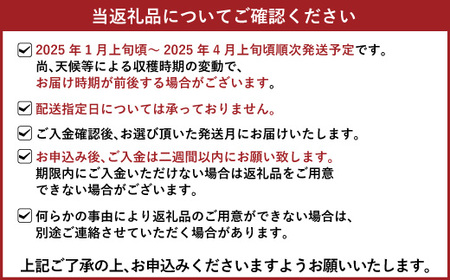 【1月発送】宇城市産いちご「さちのか」約250g×4パック【わたなべいちご園】