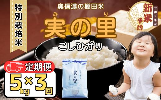 【先行予約】【定期便】<令和７年産新米> 特別栽培米 『奥信濃の棚田米 実の里』 こしひかり 精米 5㎏×3回 (7-25A)
