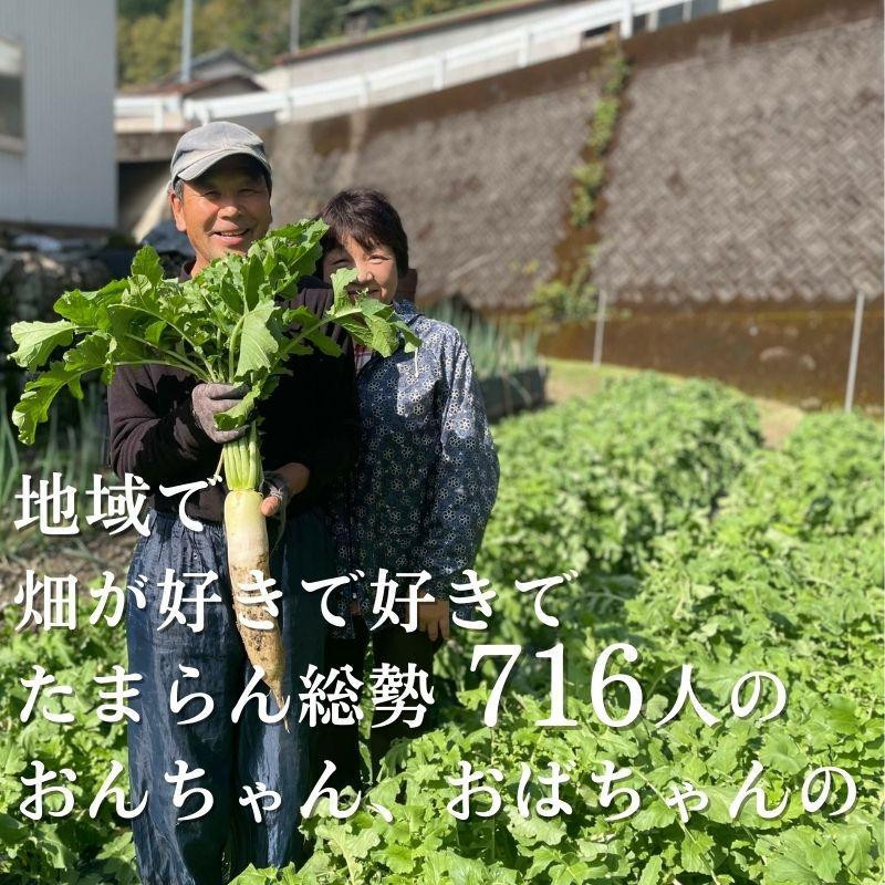『定期便』野菜詰め合わせセット6ヵ月