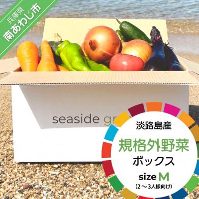ふるさと納税 南あわじ市 【シーサイドグロサリー】淡路島産規格外野菜ボックス・Mサイズ(2〜3人向け)