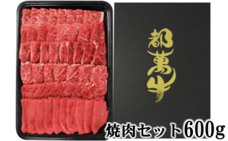 都萬牛　焼肉盛り合せ600g　国産牛肉＜2-24＞