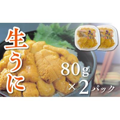 ふるさと納税 洋野町 【令和8年発送】【水揚げしたその日に出荷】生うに 80g×2パック