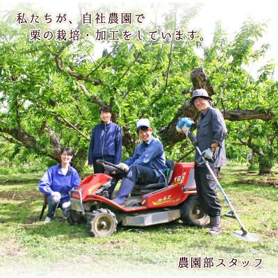 ふるさと納税 飯田市 【厳選した長野県産の栗を贅沢に使用!】　栗きんとん　16個 |  | 02