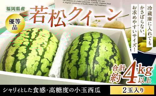 福岡県北九州市若松産 【優等品】 若松クイーン 約4kg以上 (約2kg以上2玉入り) 【2025年7月下旬～8月上旬発送予定】
