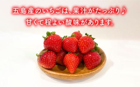 【濃厚で甘酸っぱいいちごの香りがたまらない】五島産いちごアイス 10個入 五島市/野原農園 [PCM002]