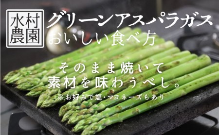 【先行予約 令和6年 2024年発送】飛騨のきれいな水と激しい寒暖差が育んだ柔らか甘いアスパラL-2Lサイズ500g[A0127] syun77